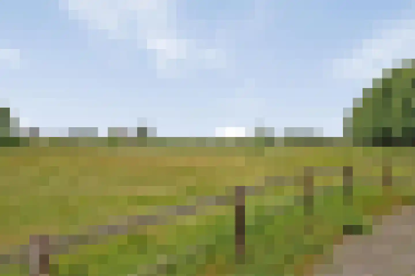 Buorren 29 Boksum thumbnail 30