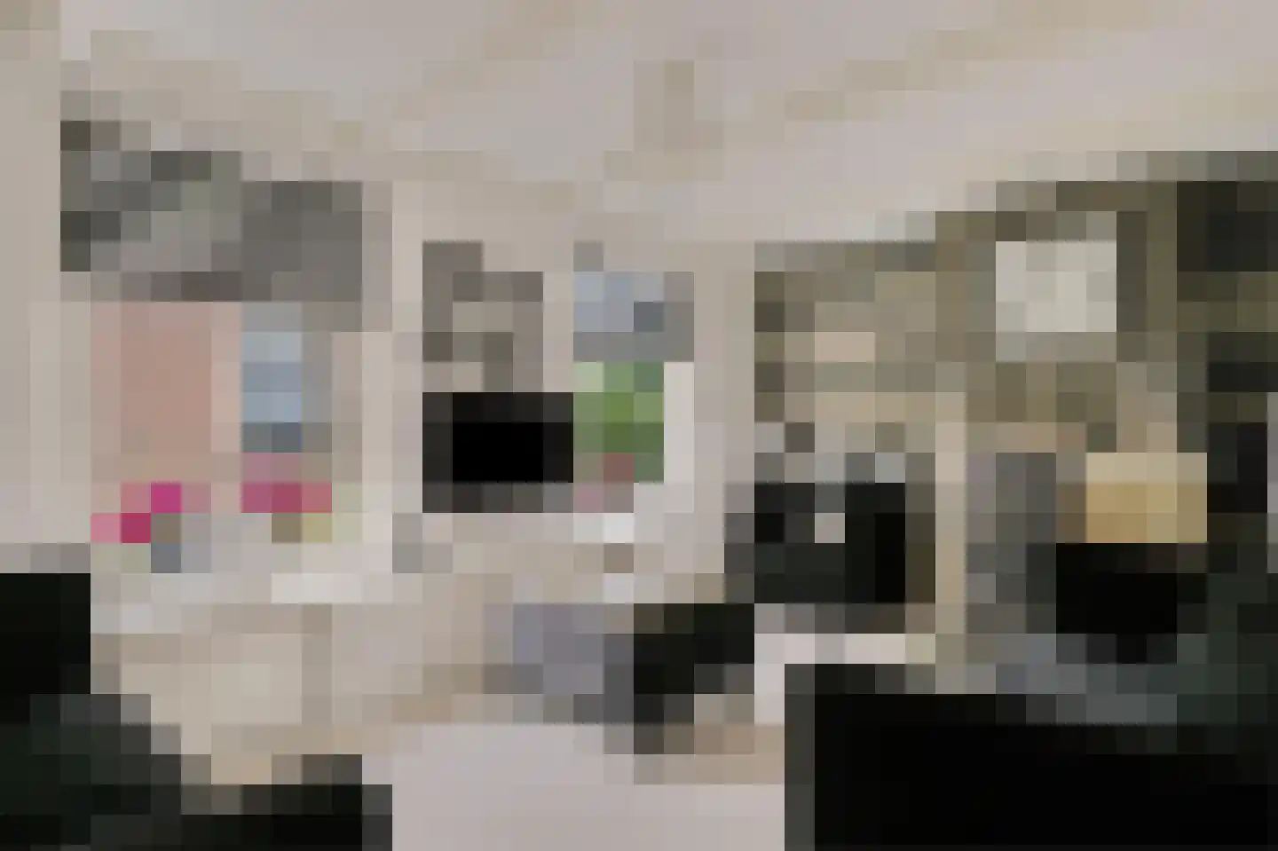 Buorren 29 Boksum thumbnail 8