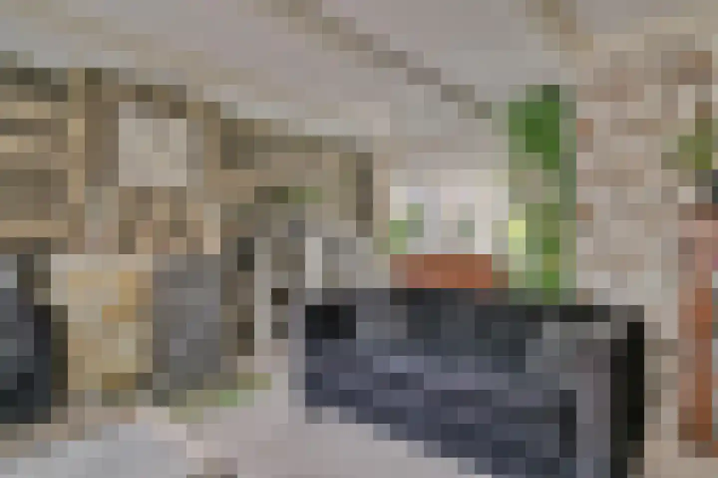 Buorren 29 Boksum thumbnail 9