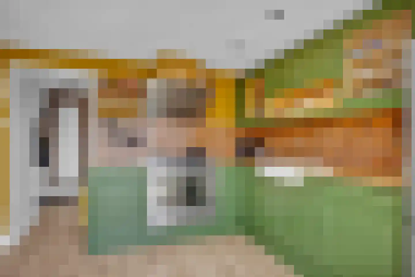 Buorren 29 Lekkum thumbnail 13