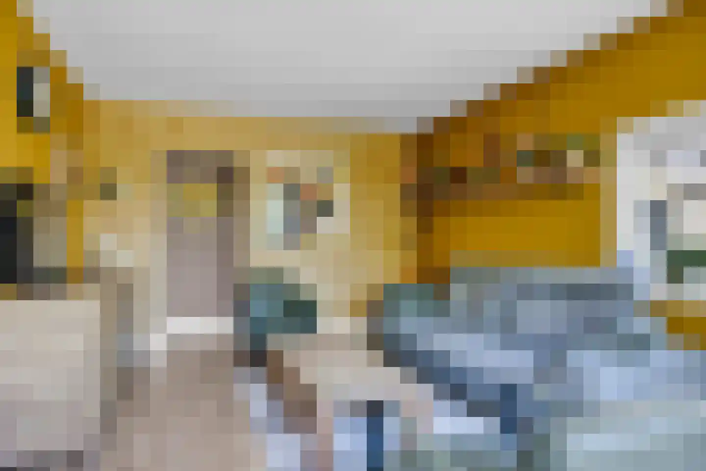 Buorren 29 Lekkum thumbnail 18