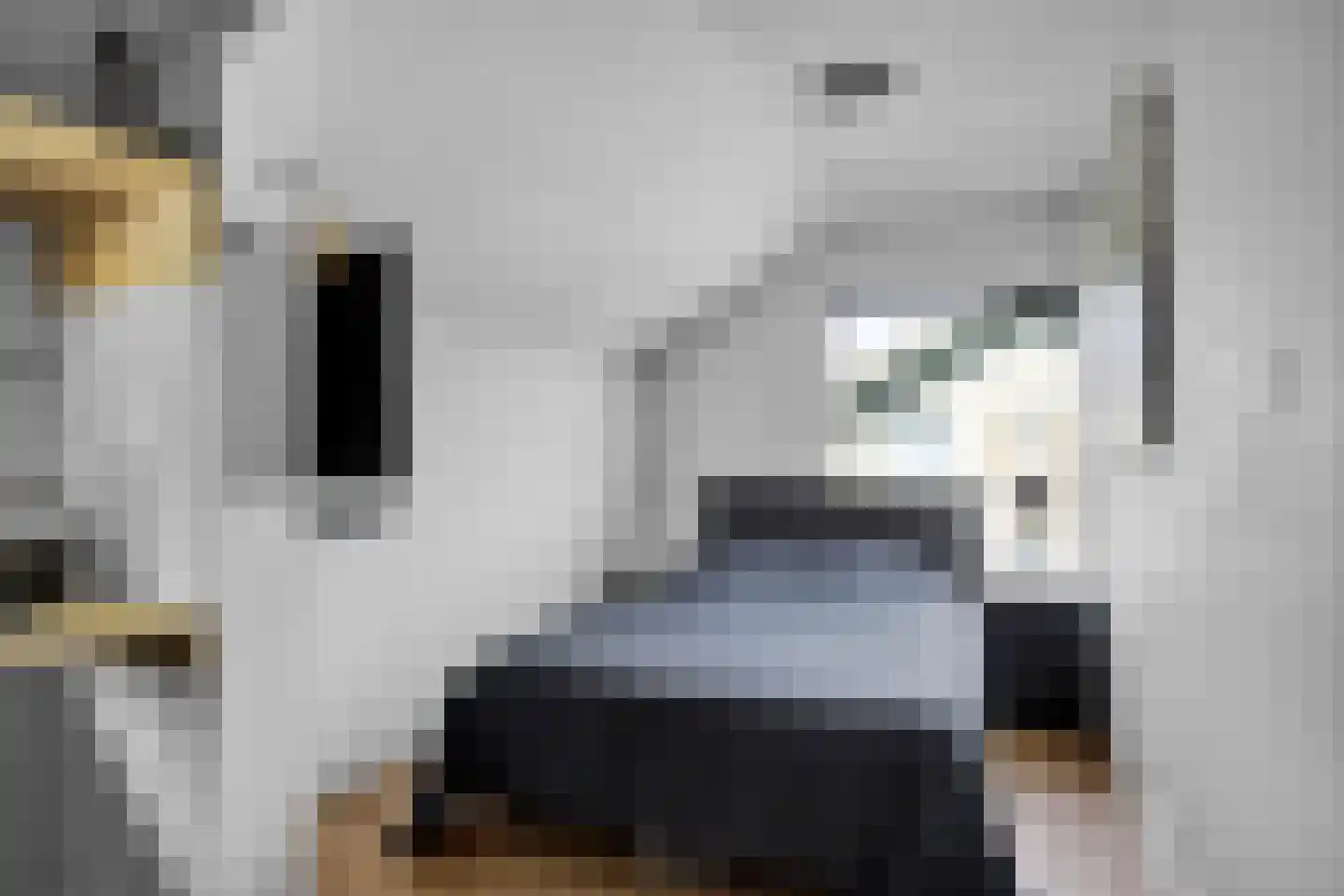 Buorren 29 Lekkum thumbnail 24