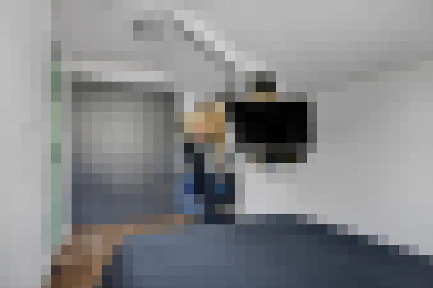 Buorren 29 Lekkum thumbnail 25