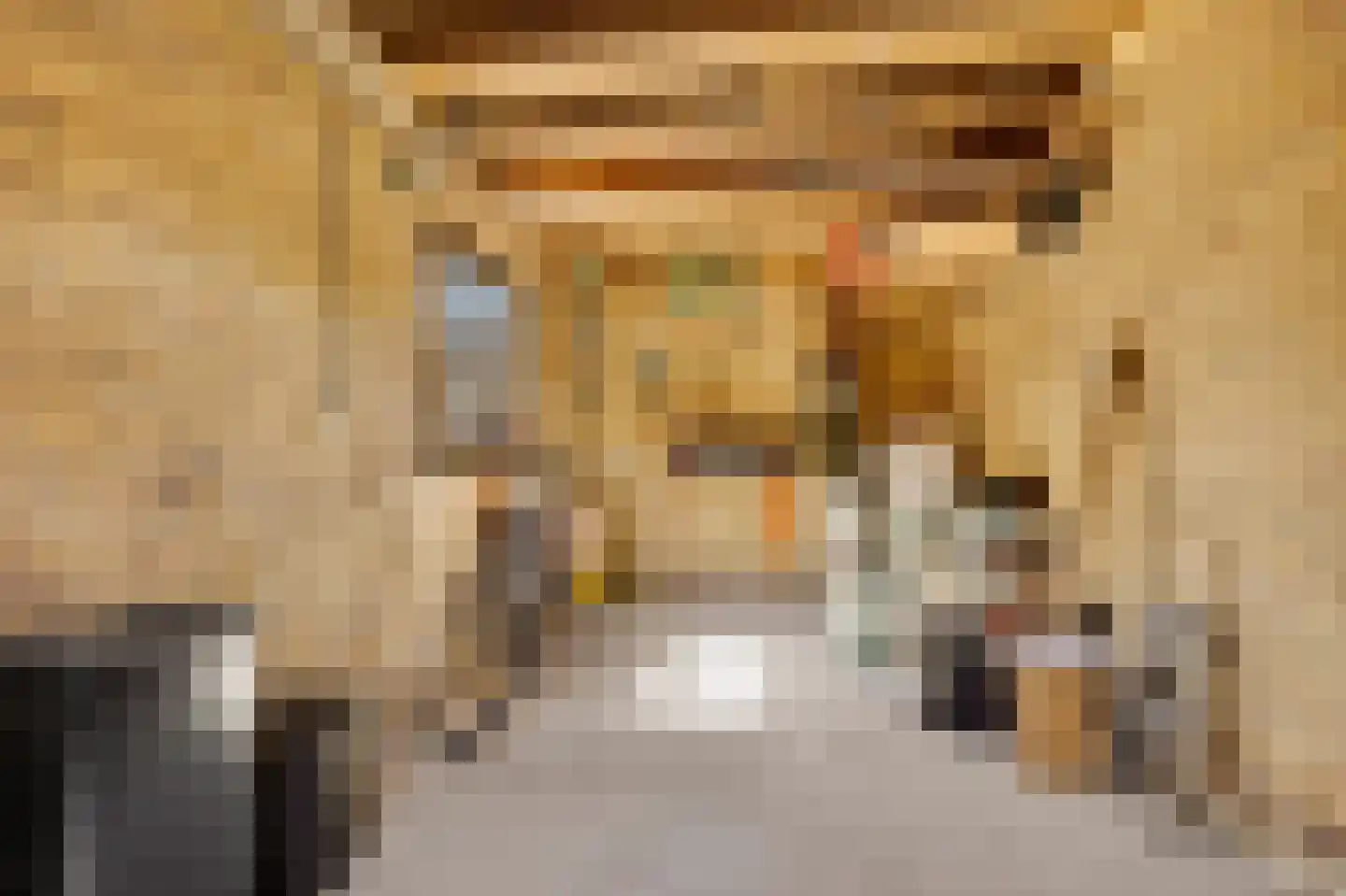 Buorren 29 Lekkum thumbnail 33