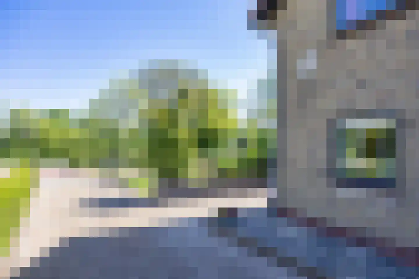 Buorren 29 Lekkum thumbnail 36