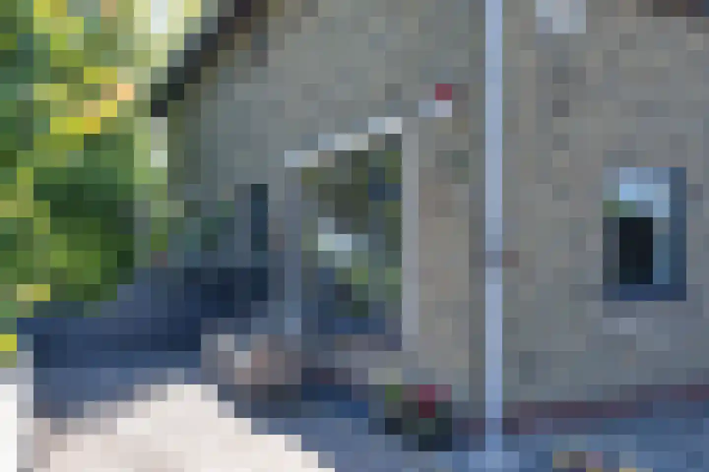 Buorren 29 Lekkum thumbnail 37