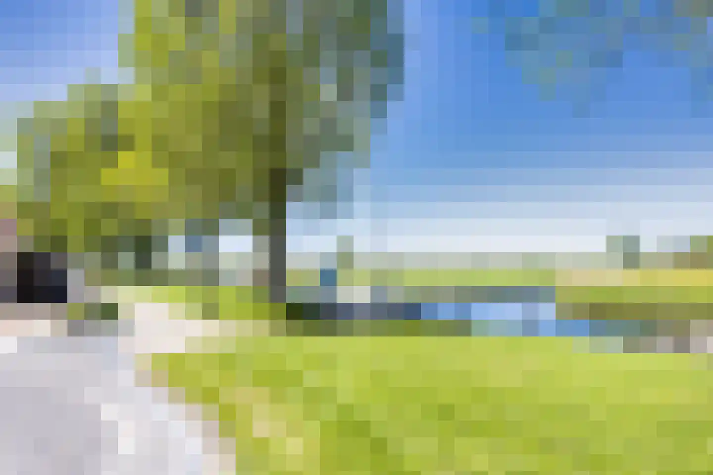 Buorren 29 Lekkum thumbnail 44