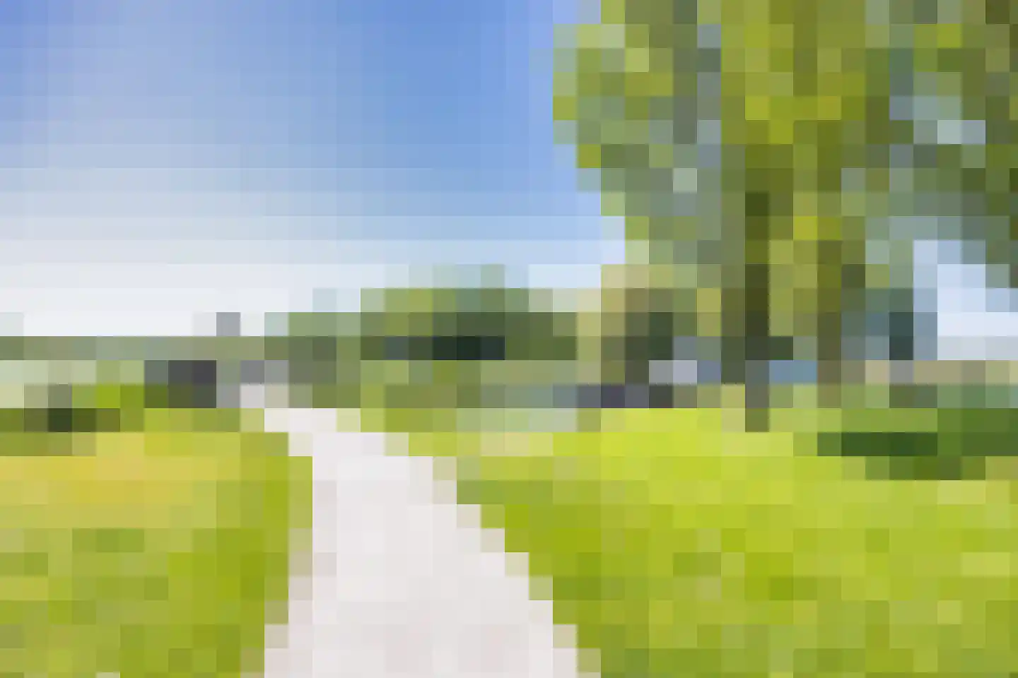 Buorren 29 Lekkum thumbnail 45
