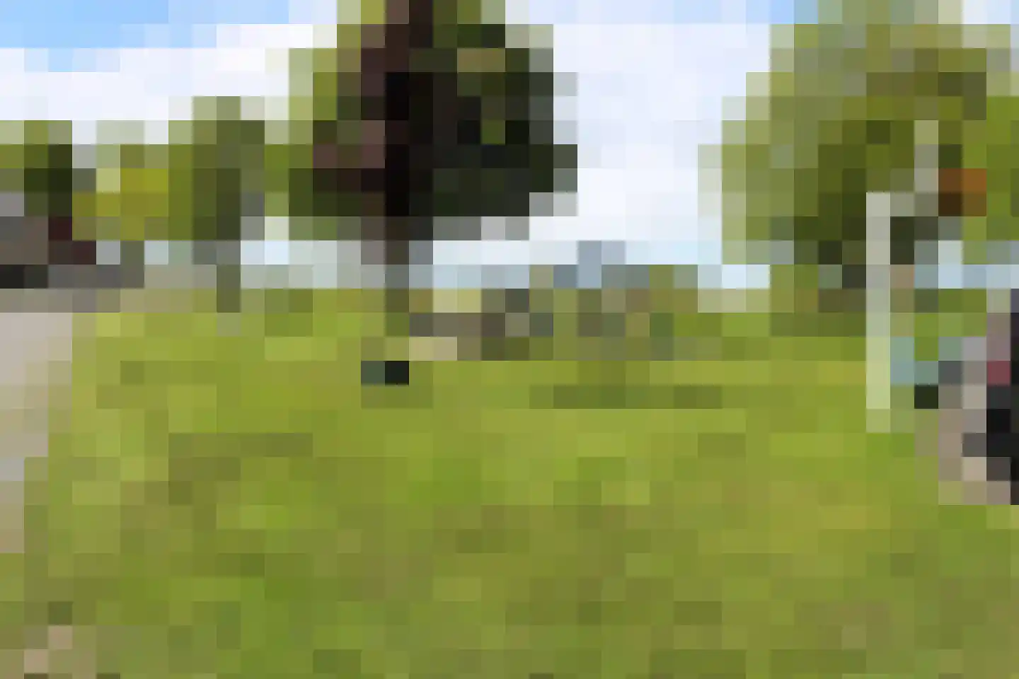 Buorren 29 Lekkum thumbnail 48