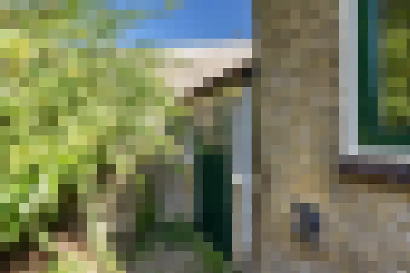 Buorren 3 Hemelum thumbnail 30