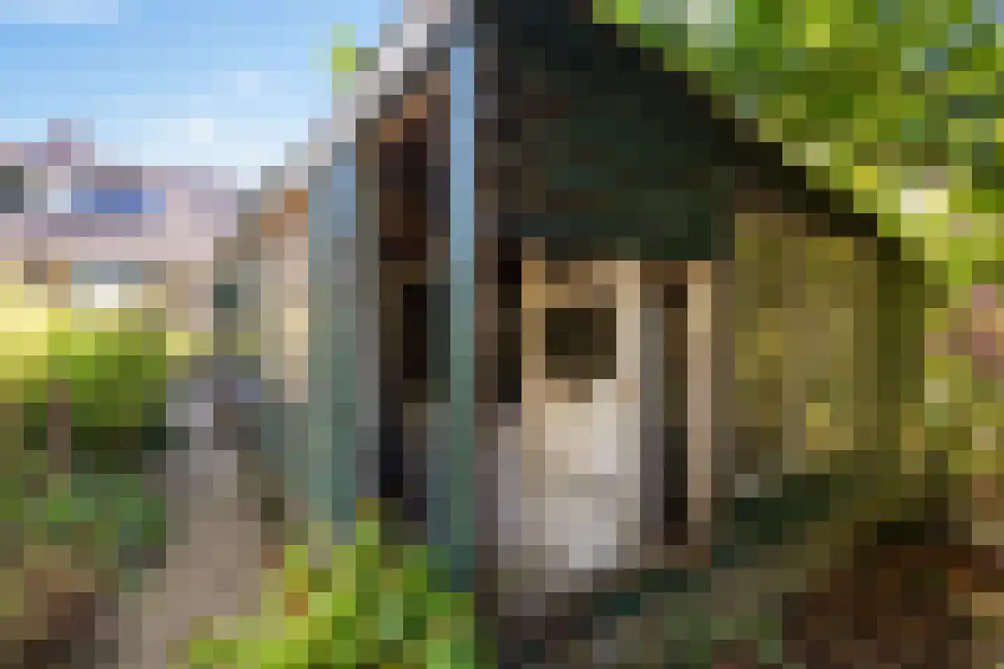 Buorren 3 Hemelum thumbnail 35