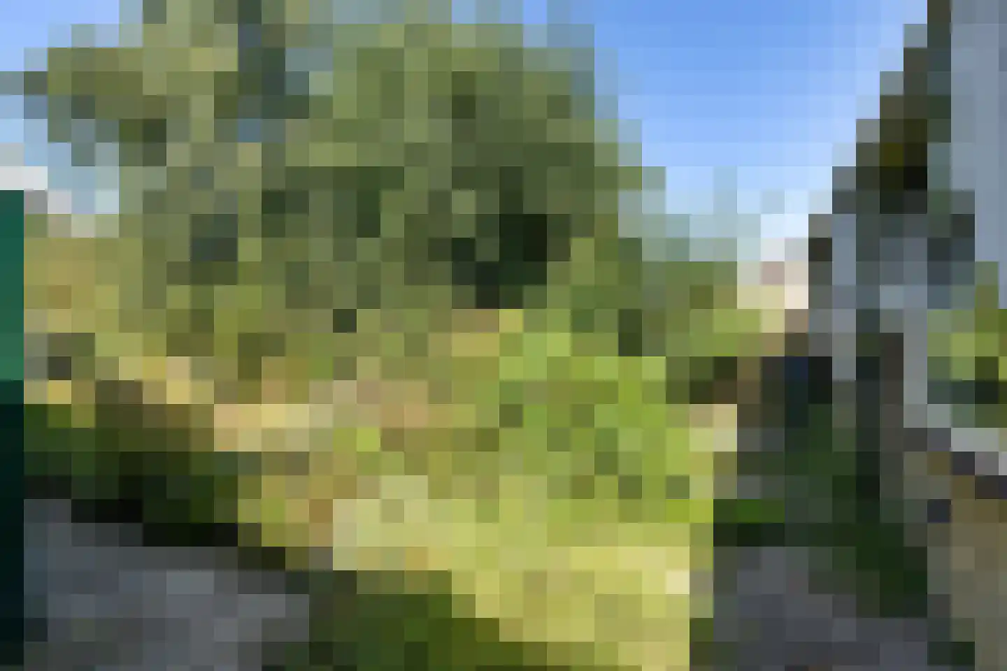 Buorren 3 Hemelum thumbnail 37