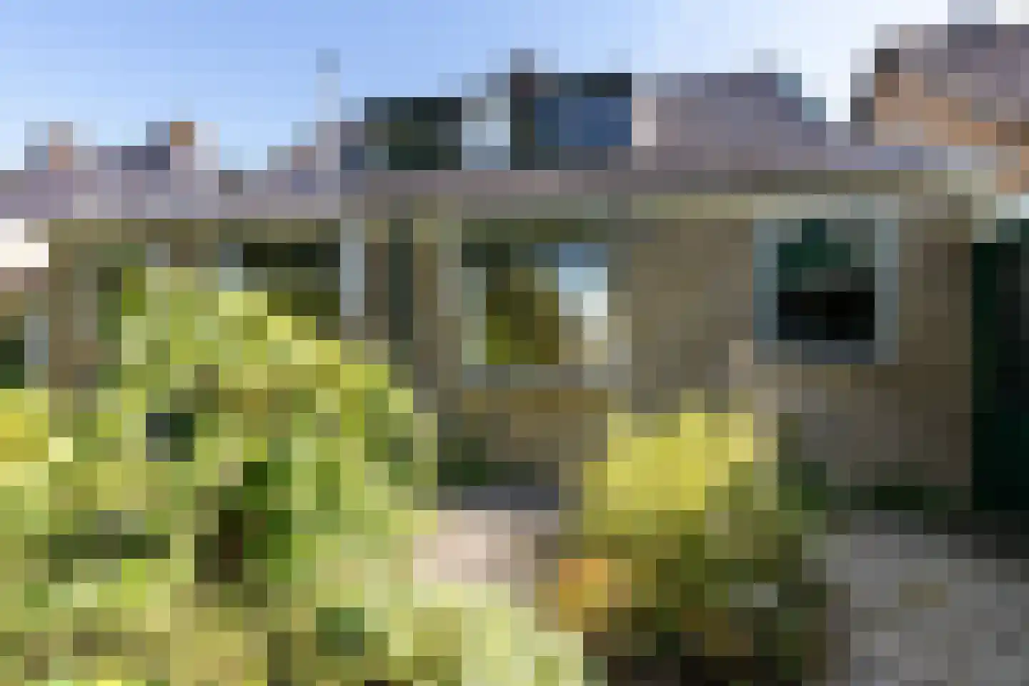 Buorren 3 Hemelum thumbnail 38