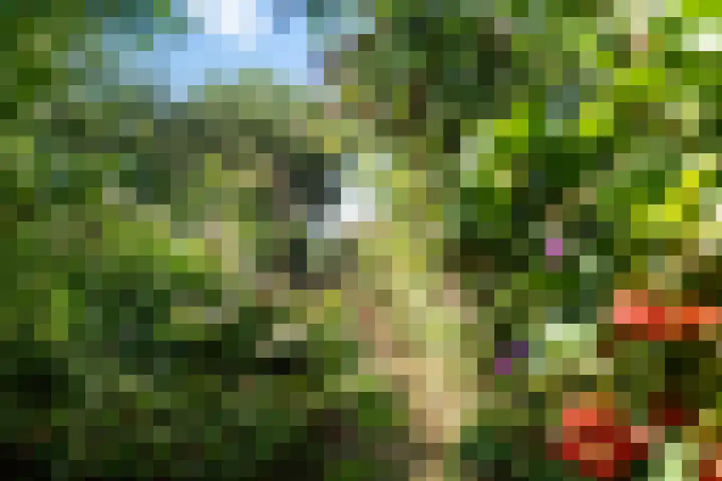 Buorren 3 Hemelum thumbnail 39