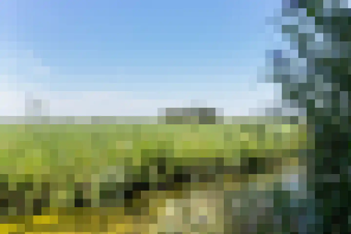Buorren 3 Hemelum thumbnail 42