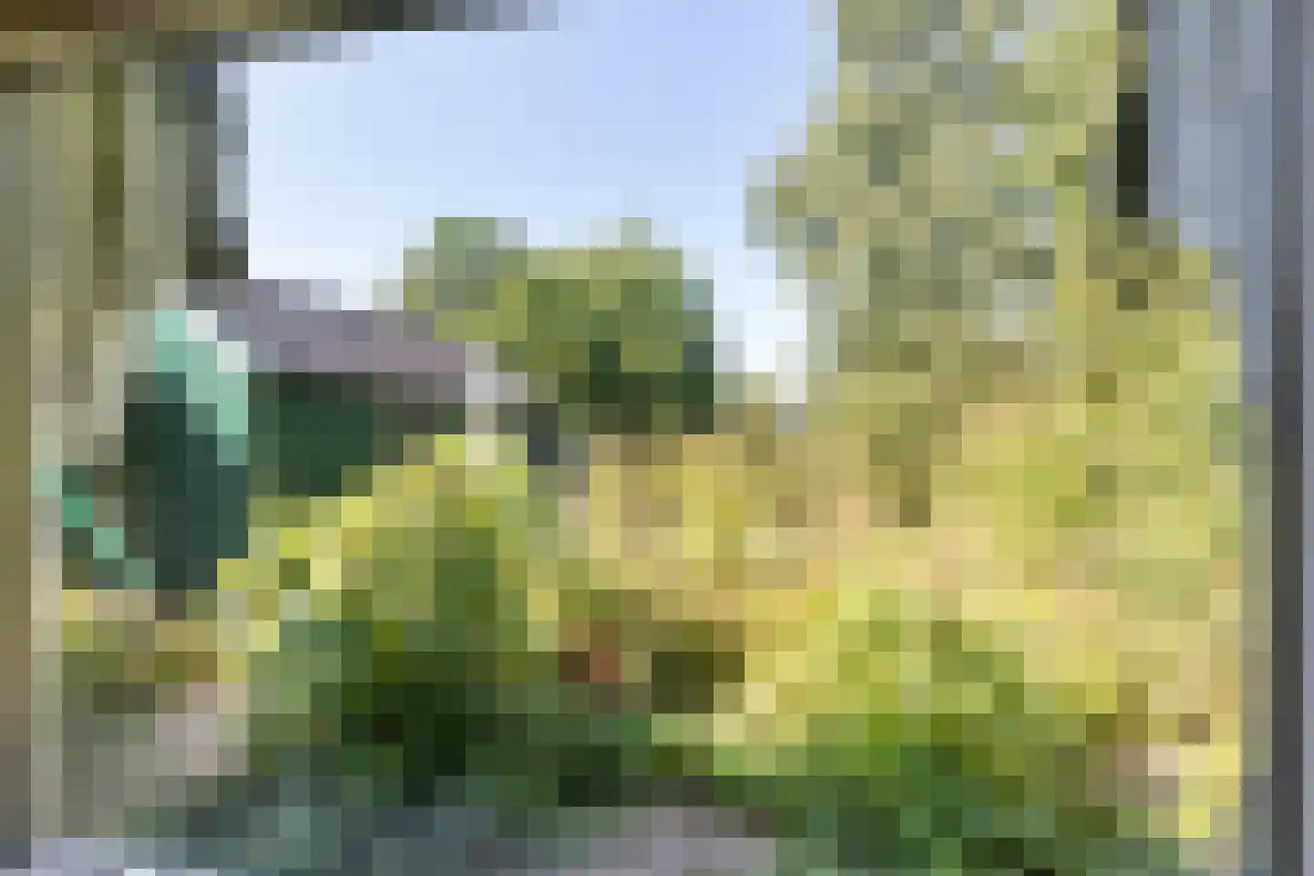 Buorren 3 Hemelum thumbnail 8