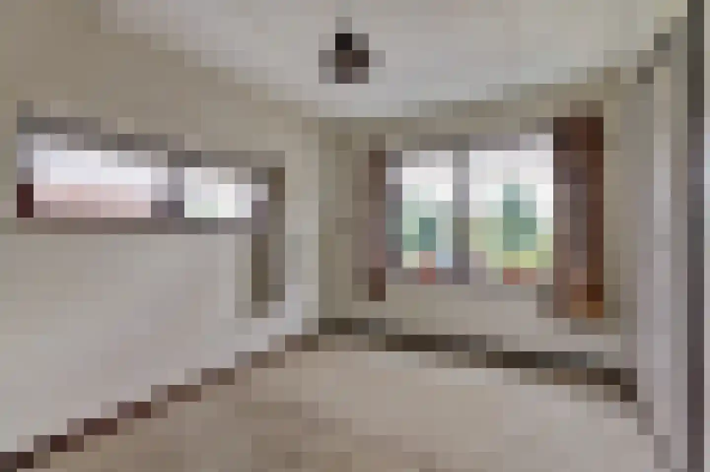 Buorren 32 Oudega thumbnail 16