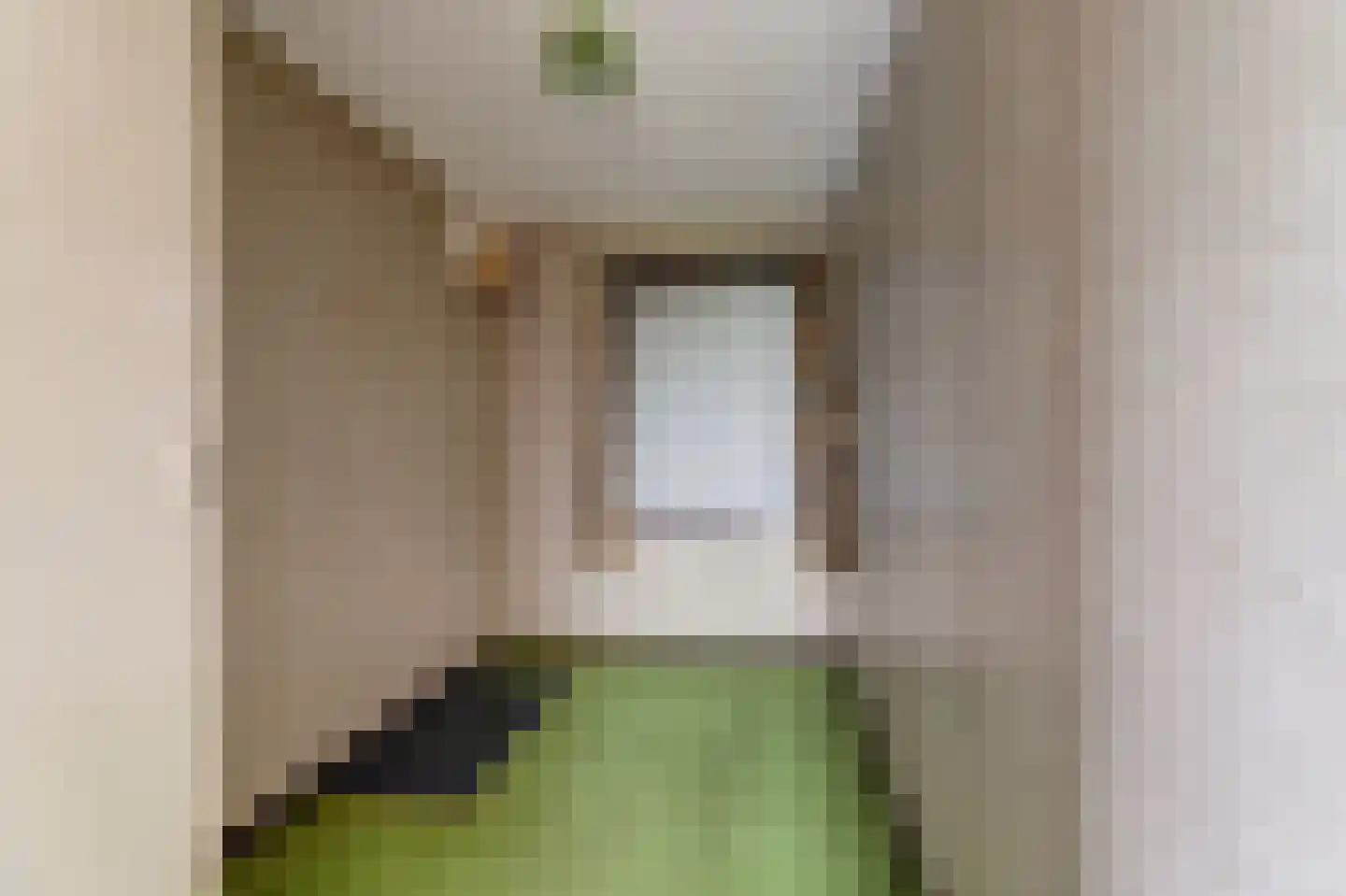 Buorren 32 Oudega thumbnail 19