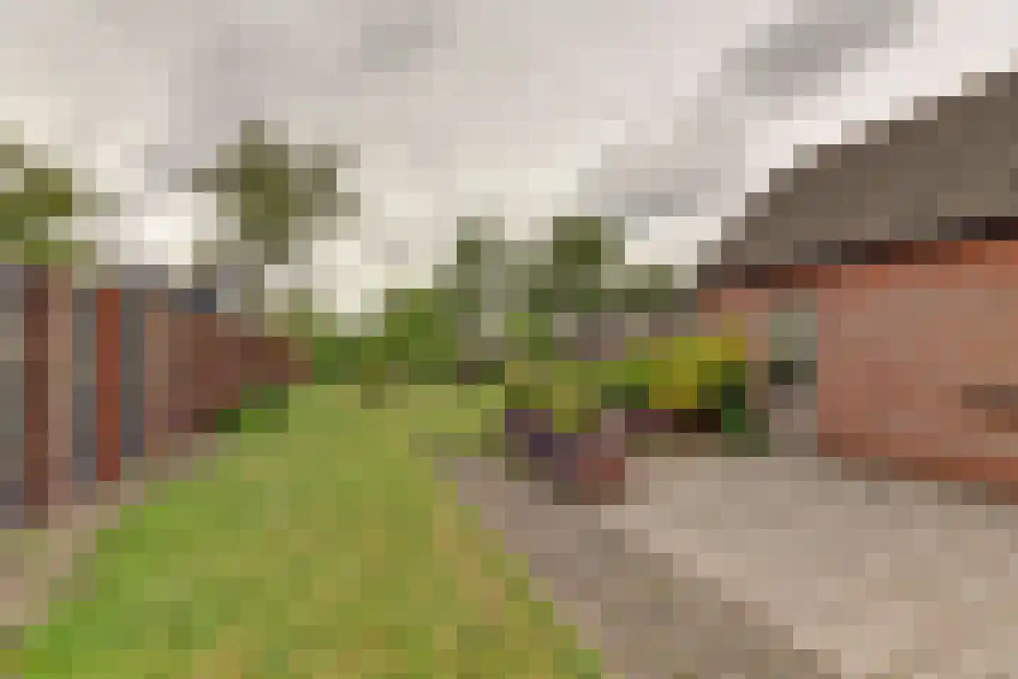 Buorren 32 Oudega thumbnail 21