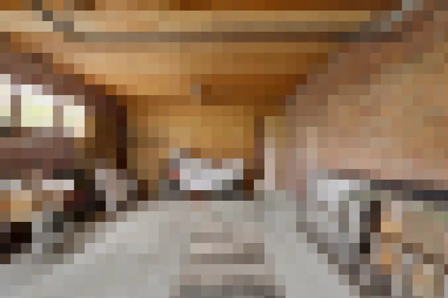 Buorren 32 Oudega thumbnail 23