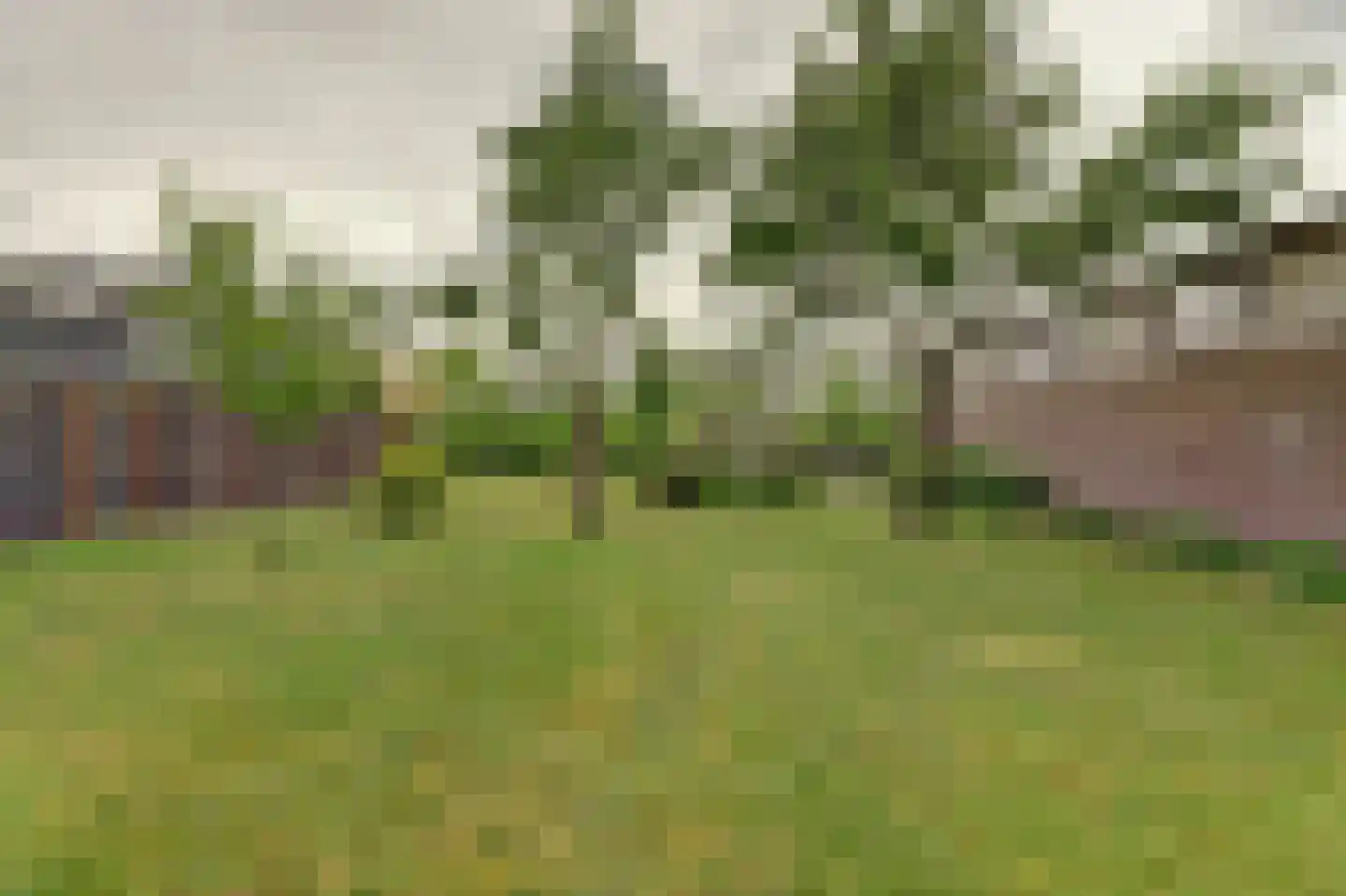 Buorren 32 Oudega thumbnail 26
