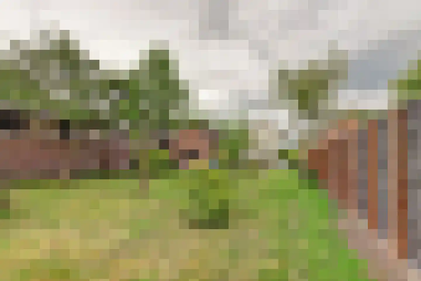 Buorren 32 Oudega thumbnail 27