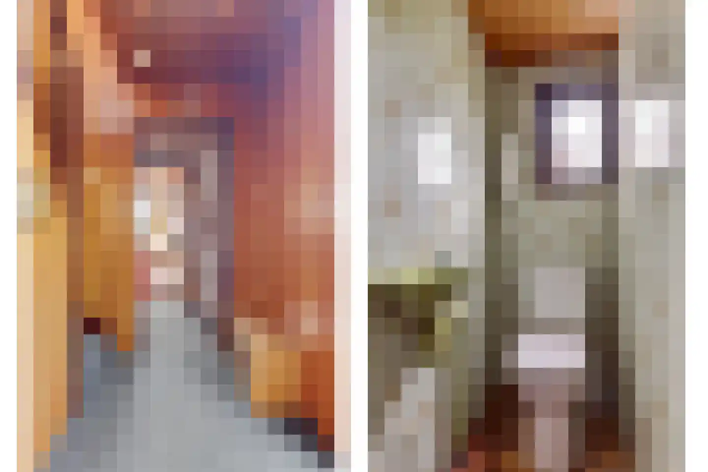 Buorren 32 Oudega thumbnail 7