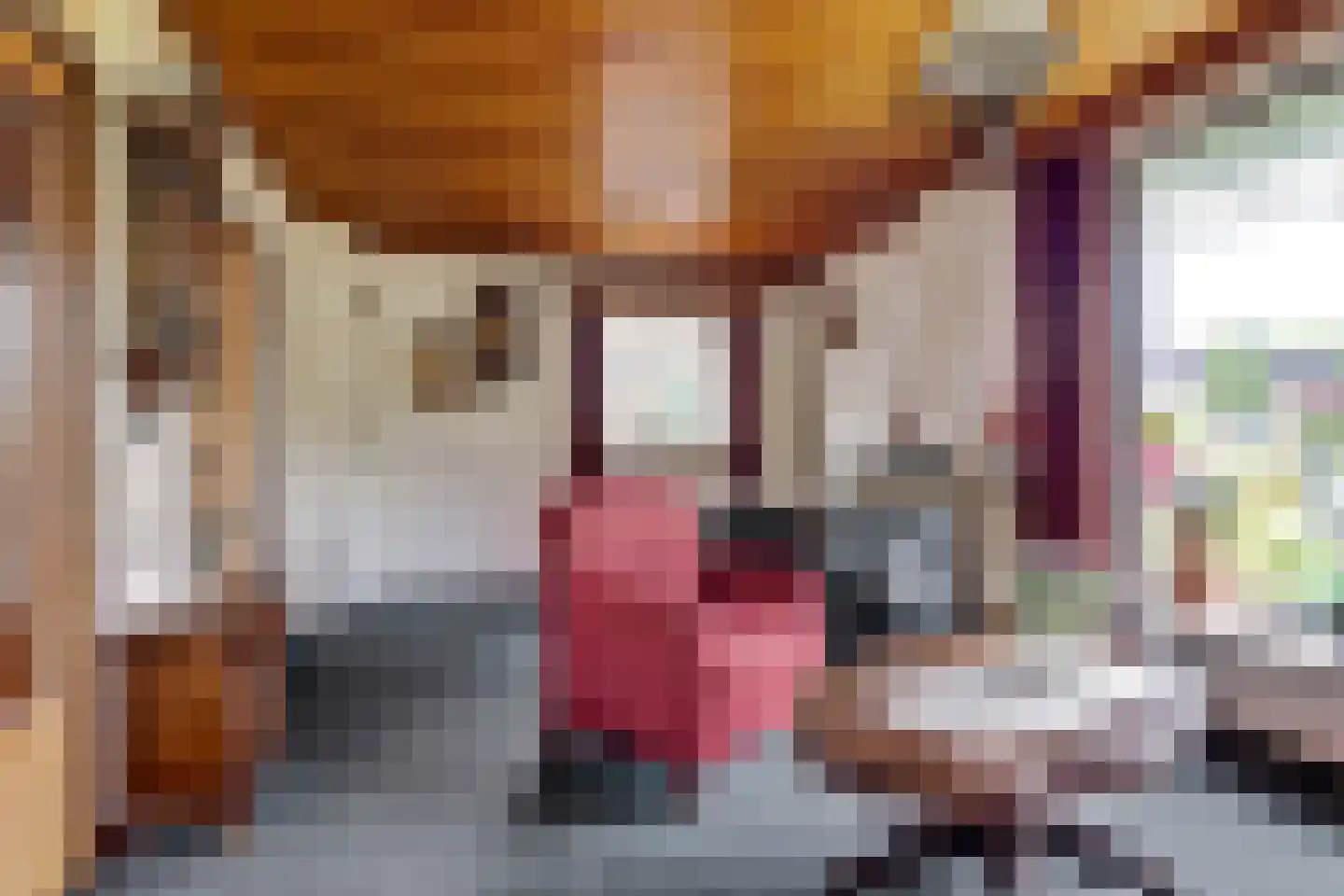Buorren 32 Oudega thumbnail 9