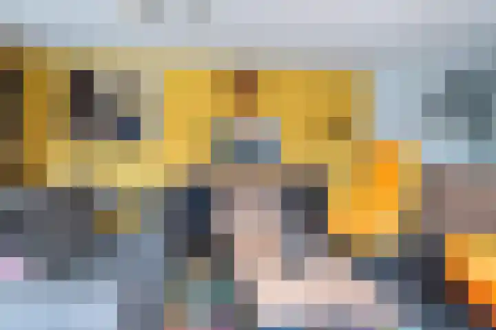 Buorren 4 Berltsum thumbnail 15