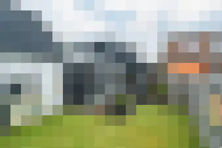 Buorren 4 Berltsum thumbnail 23