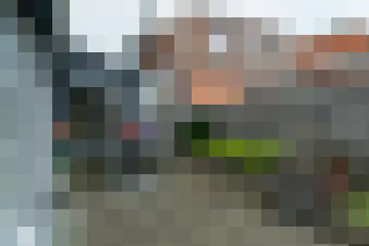 Buorren 4 Berltsum thumbnail 25