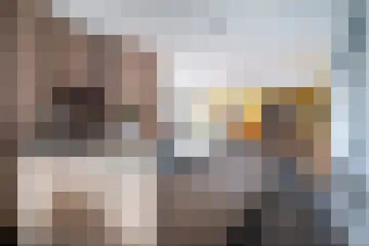 Buorren 4 Berltsum thumbnail 9