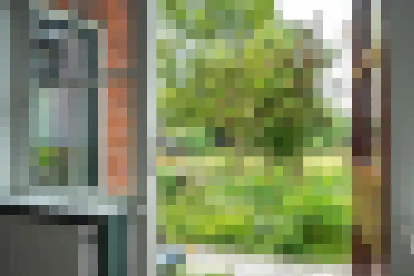 Buorren 41 Boksum thumbnail 13