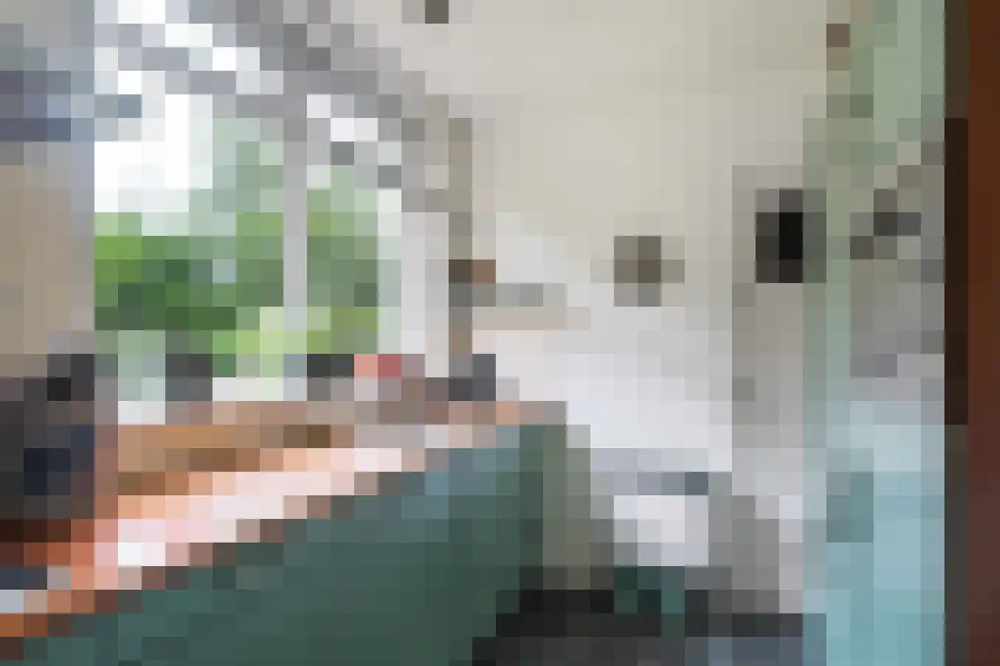 Buorren 41 Boksum thumbnail 16