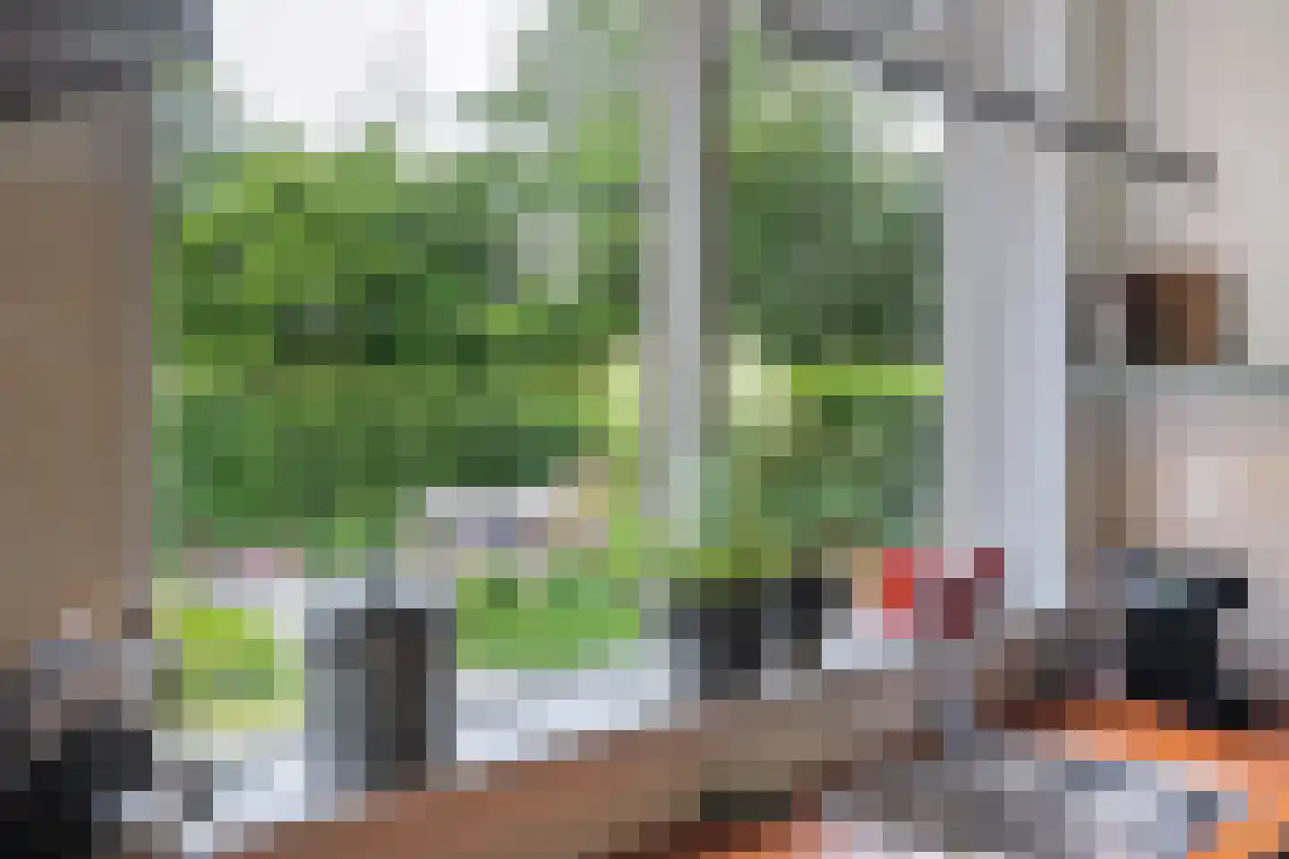 Buorren 41 Boksum thumbnail 19
