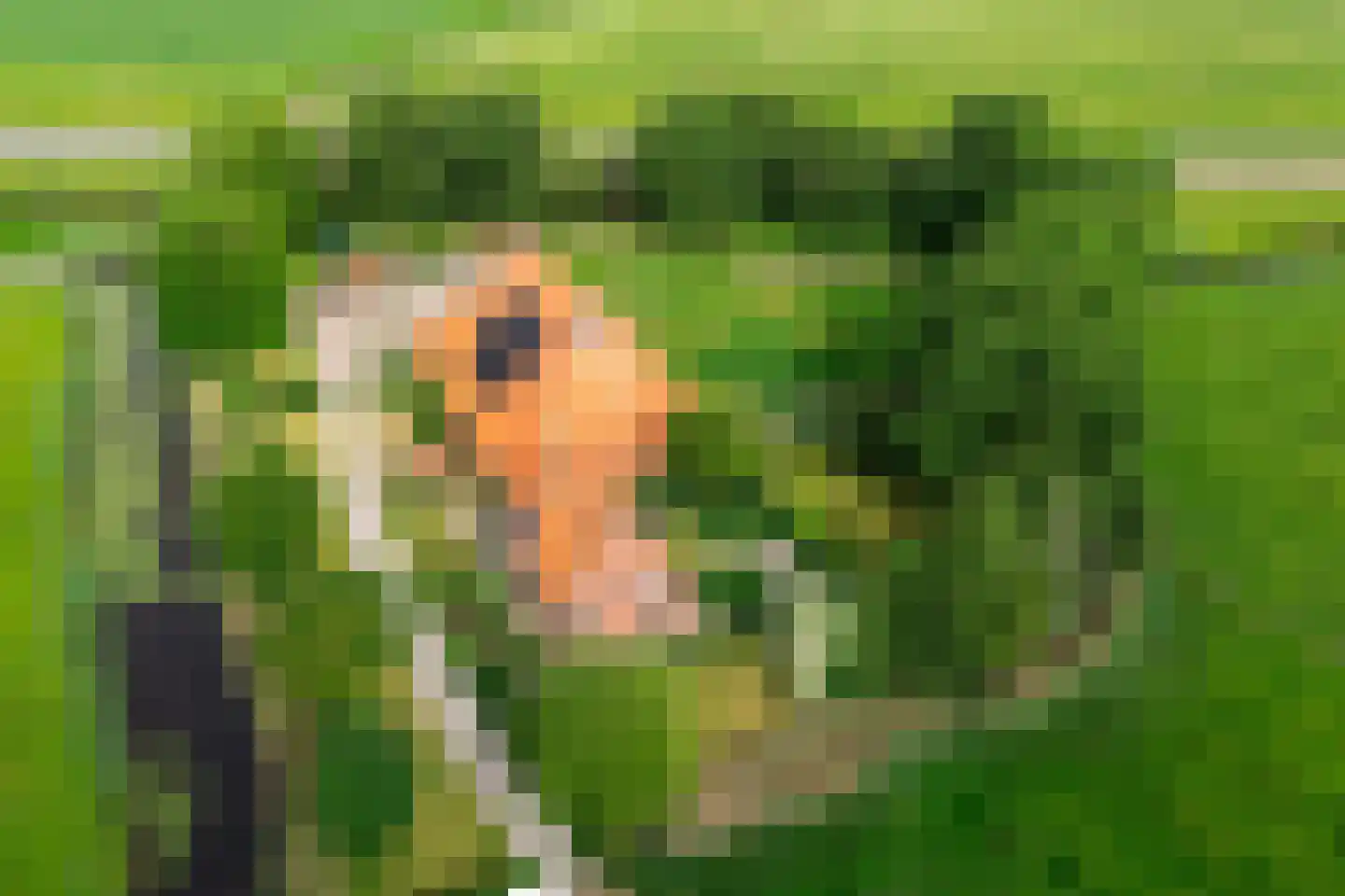 Buorren 41 Boksum thumbnail 4