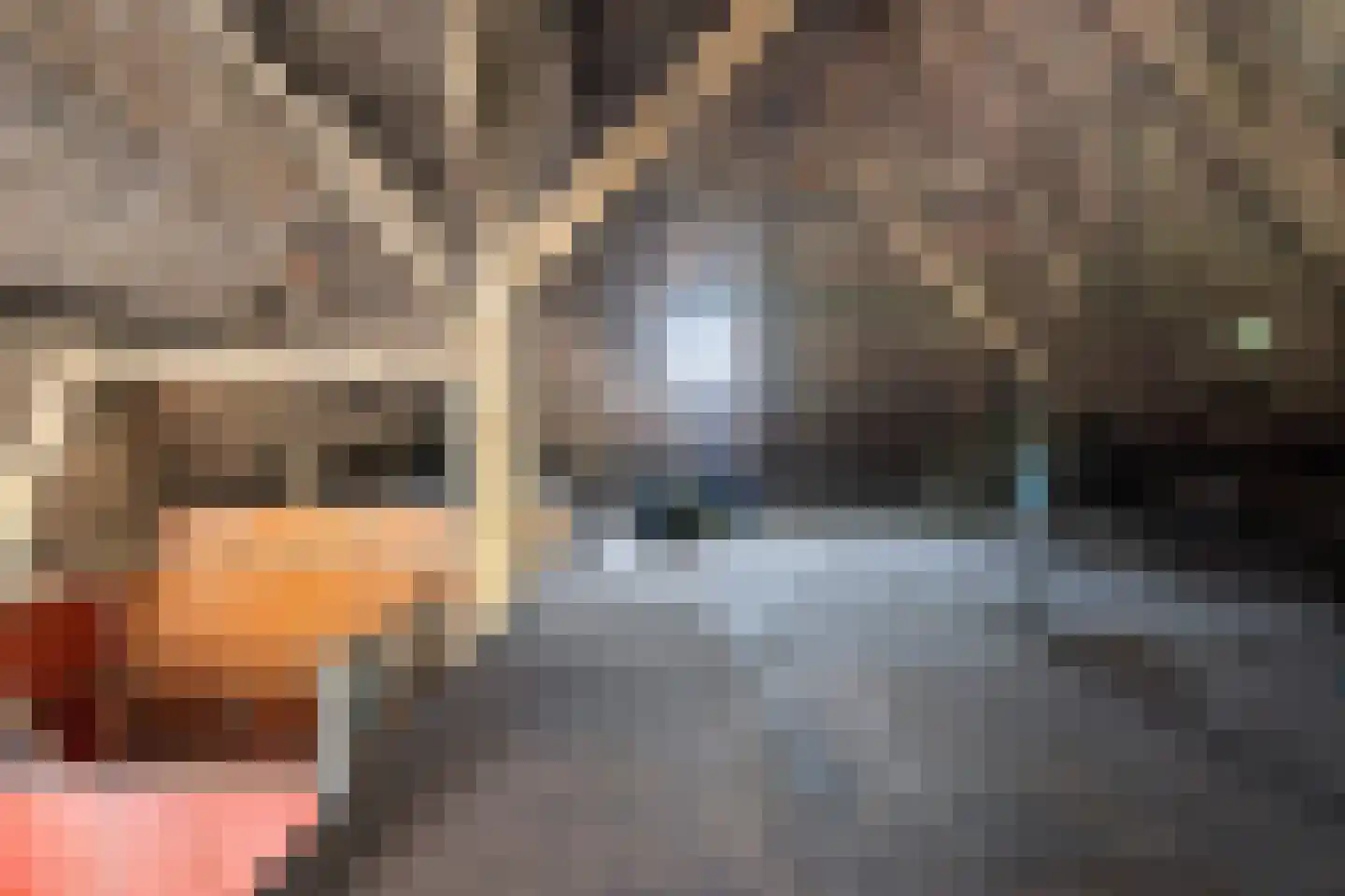 Buorren 41 Boksum thumbnail 46