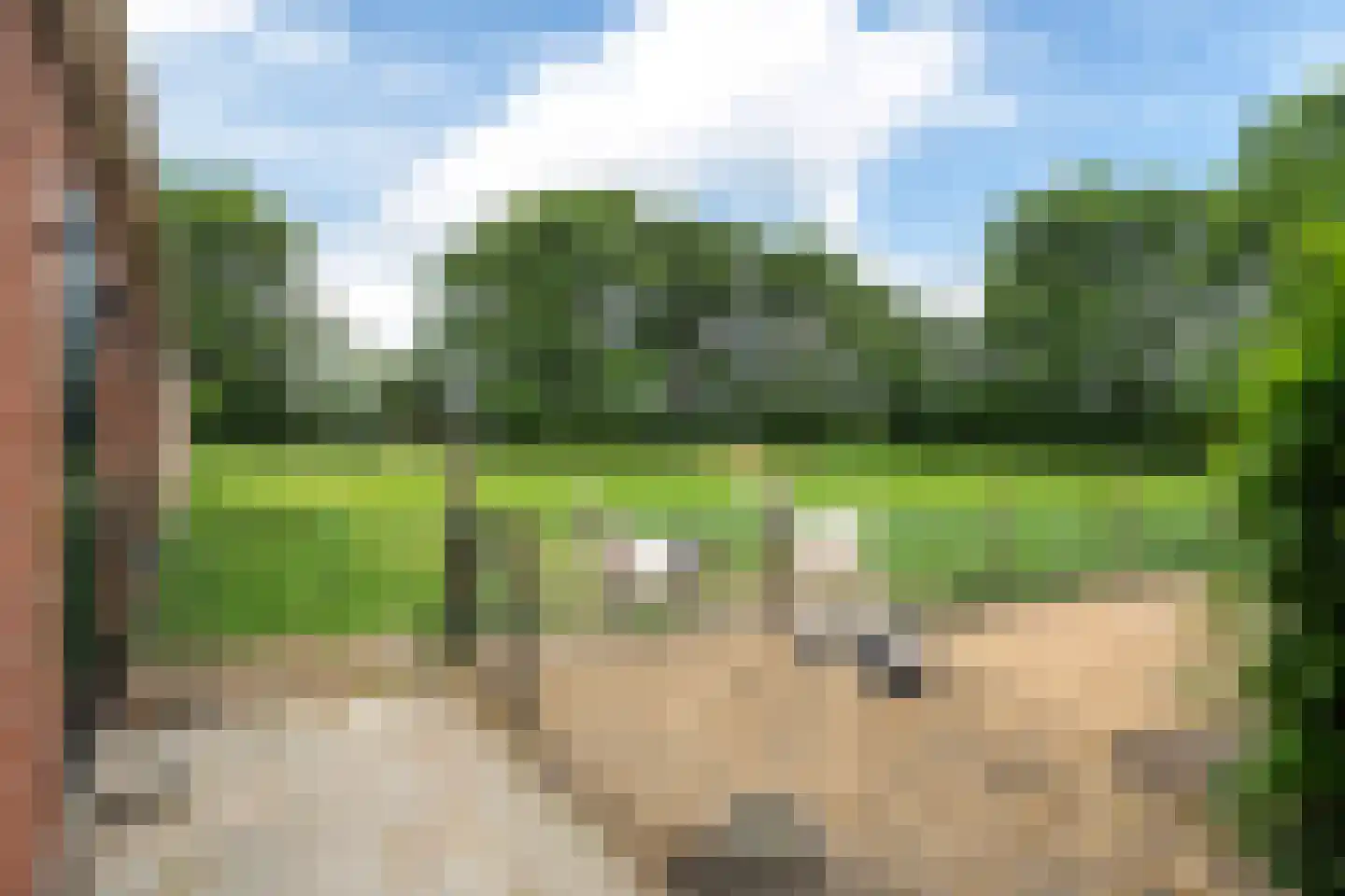 Buorren 41 Boksum thumbnail 50