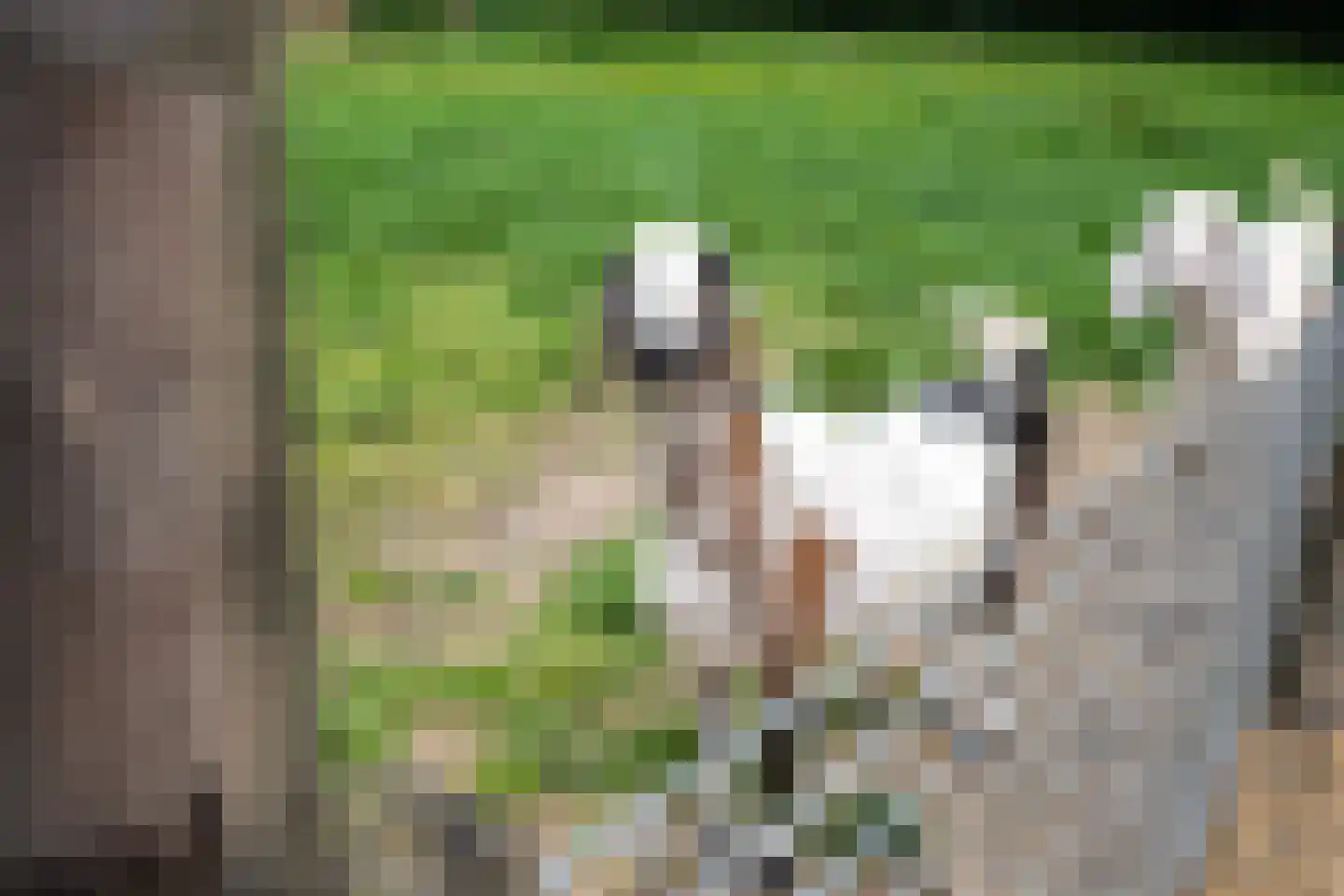 Buorren 41 Boksum thumbnail 51