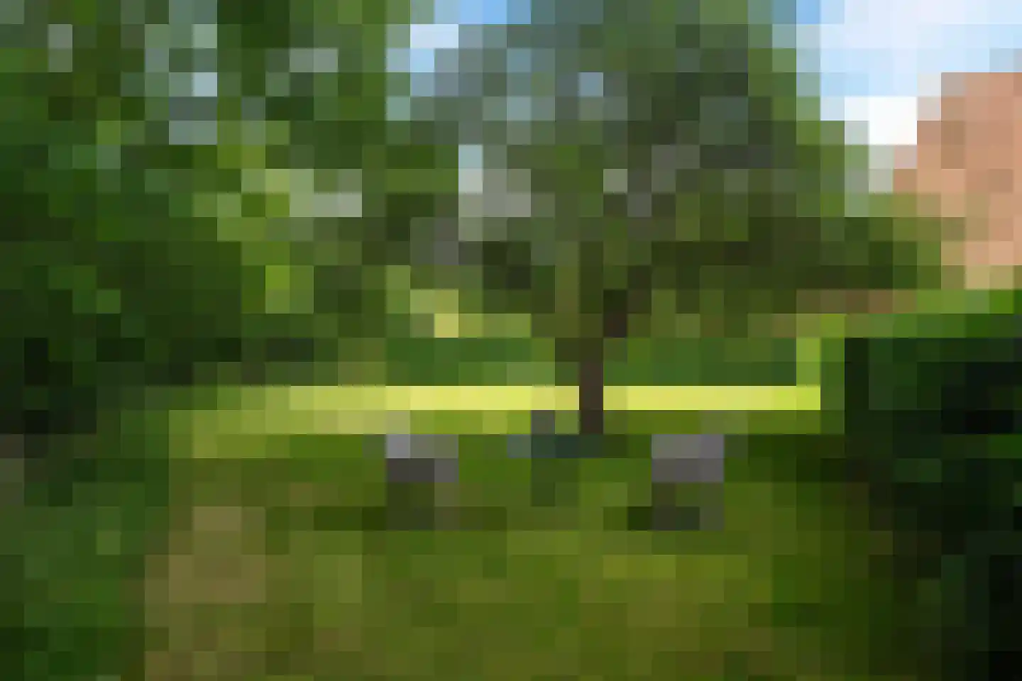 Buorren 41 Boksum thumbnail 53