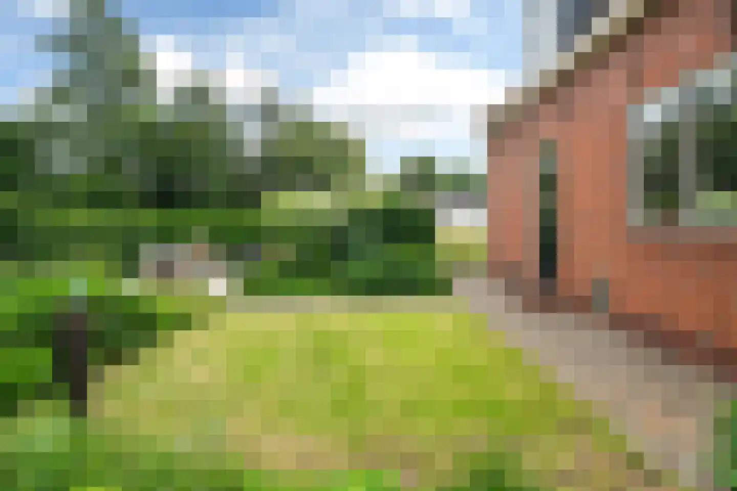 Buorren 41 Boksum thumbnail 56