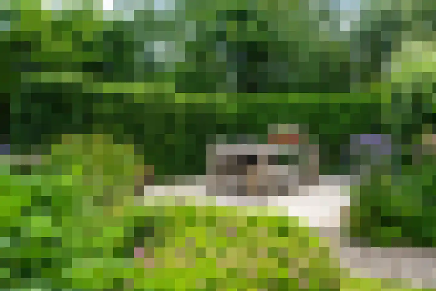 Buorren 41 Boksum thumbnail 57