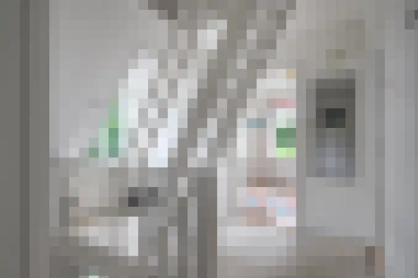 Buorren 41 Boksum thumbnail 61
