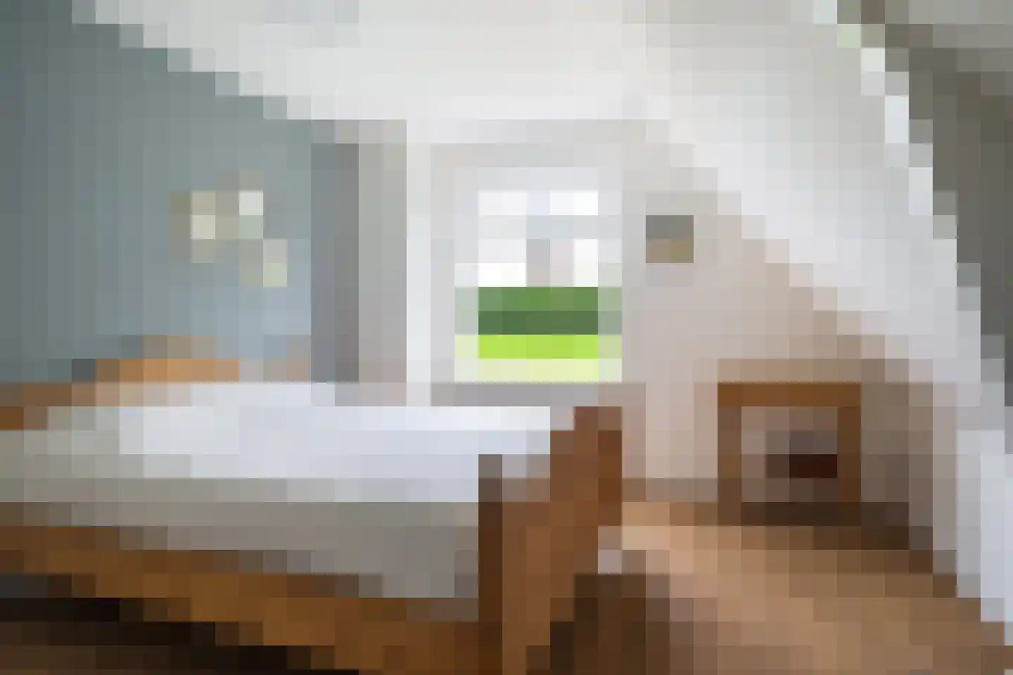 Buorren 41 Boksum thumbnail 64