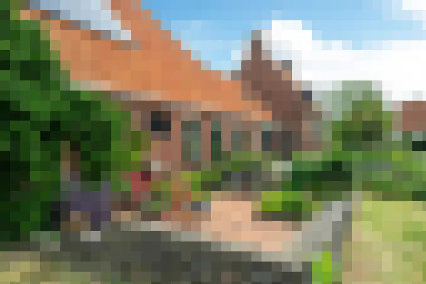 Buorren 41 Boksum thumbnail 8