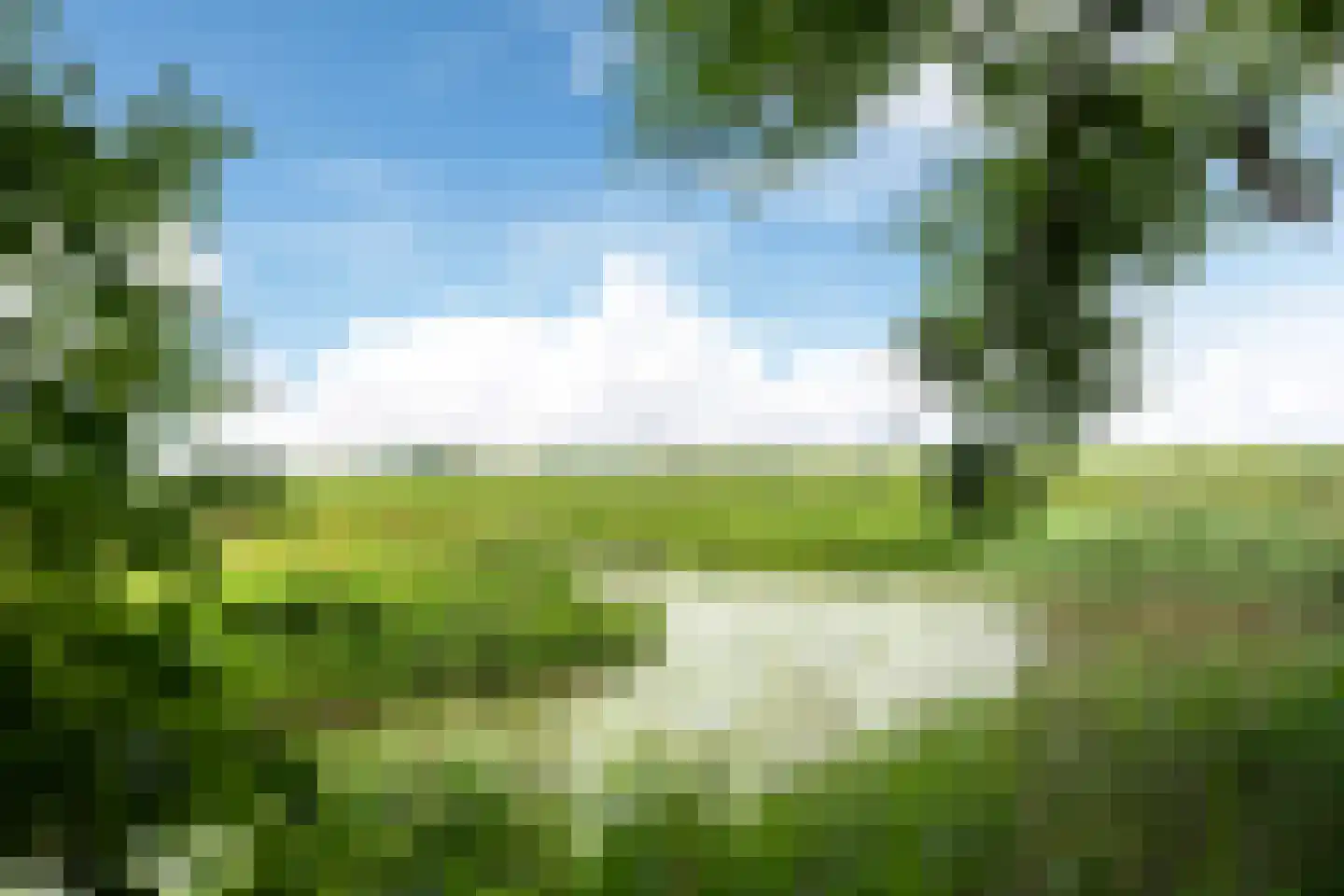 Buorren 41 Boksum thumbnail 81
