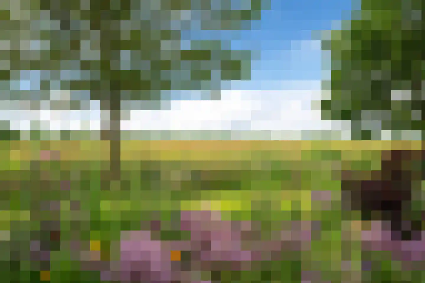 Buorren 41 Boksum thumbnail 82