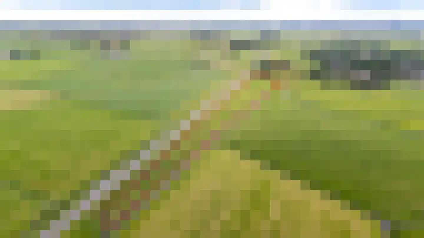 Buorren 41 Boksum thumbnail 84