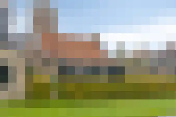 Buorren 41 Uitwellingerga thumbnail 19
