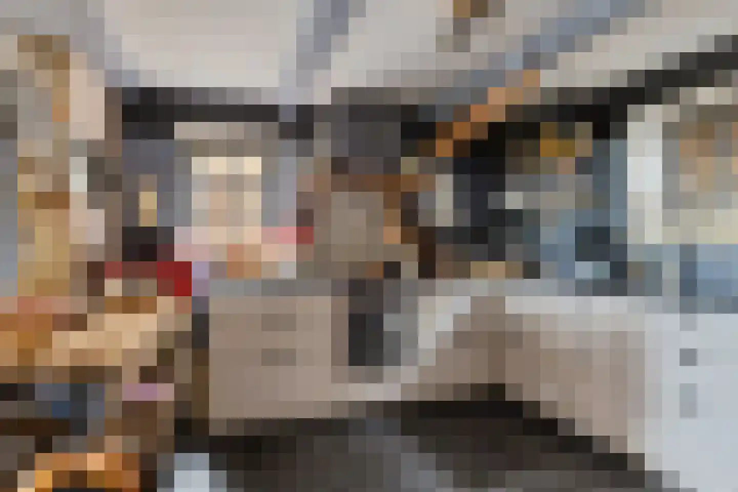 Buorren 42 Rien thumbnail 10